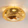 Aylmer 19" 7-Blade Modern Bladeless Caged Ceiling Fan with Lights and Remote