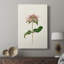 Mauve Garden Flowers V - galerie sur mesure-117781102