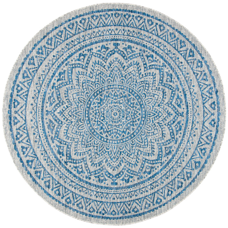 Amedee Performance Floral Indoor/Outdoor Area Rug, Round 3'