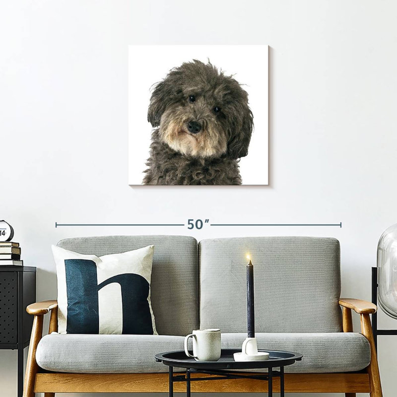 Brampt Molly The Dog, 24" H x 24" W