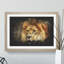 Lion Vol.6 - Picture Frame Graphic Art-62802638-62802641