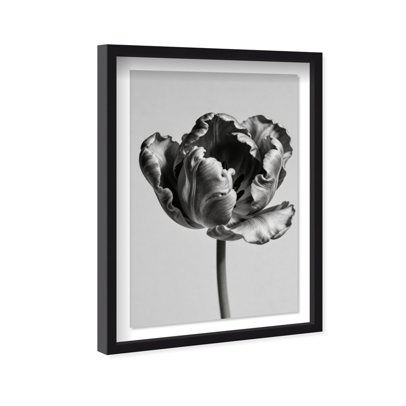 Take A Peek Print by Oliver Gal, 37.5"H x 55.5"W, Black Shadowbox