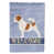 Jack Russell terrier debout sélectionné