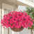 Hotpink