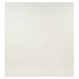 Textural Hand Knotted Wool Area Rug in White