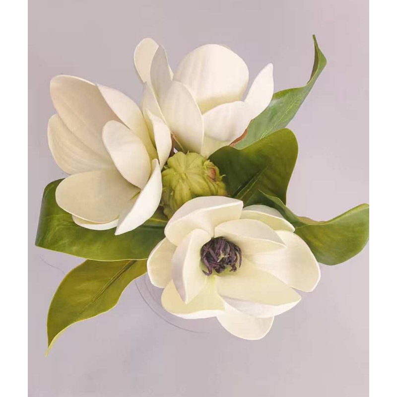 MAGNOLIA EN BOUQUET 11 po