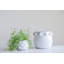 Round Terra-cotta Planter with Raised Dots Design