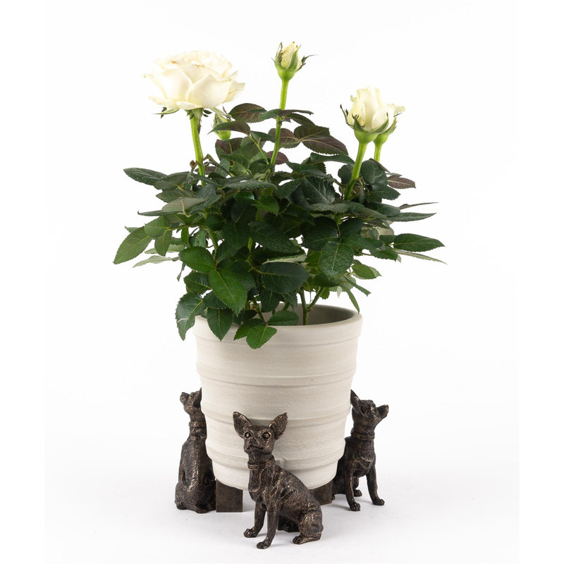 Bedelia Weather Resistant Planter Feet