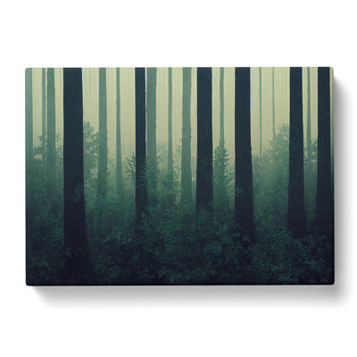 Forest Mist Vol.5 - Wrapped Canvas