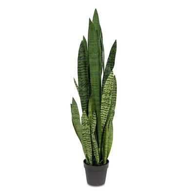 Fausse plante dracéna en pot Rummond