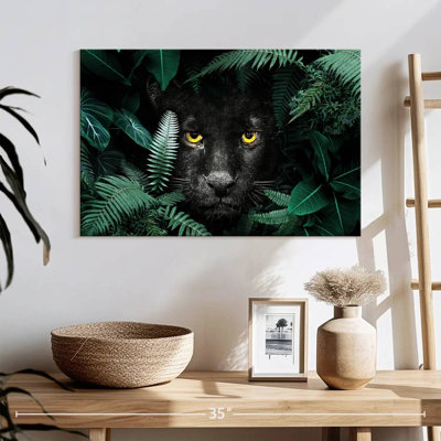 Panthère noire tropicale