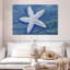 Brampt Impressions Of Shells Starfish Indigo