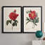 «Red Botanical III», ensemble de 2 reproductions d'art sur toile encadrées-61455405-61455413