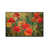 White Floater Framed is unavailable