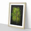 Leaf Lines Paint Splash - Picture Frame Graphic Art-56922981-56922982