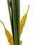 Faux Palm Tree-561748055