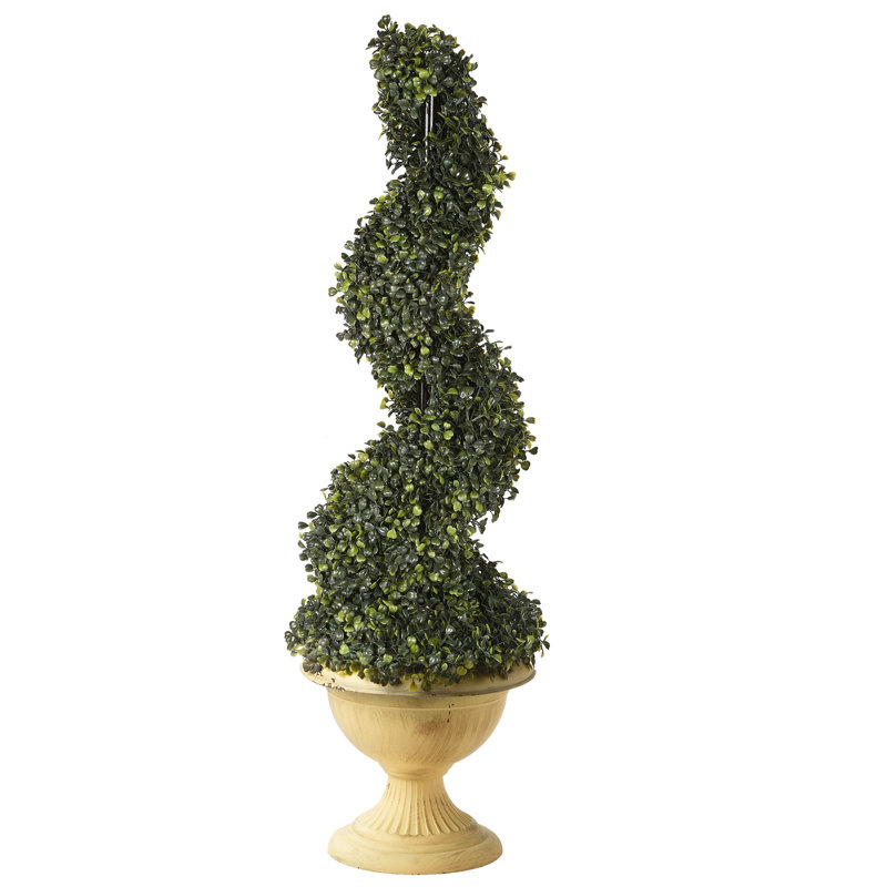 39" Boxwood Spiral