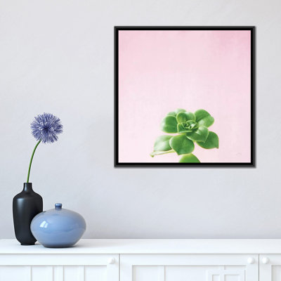 « succulent simplicité on rose v », reproduction d’impression sur toile