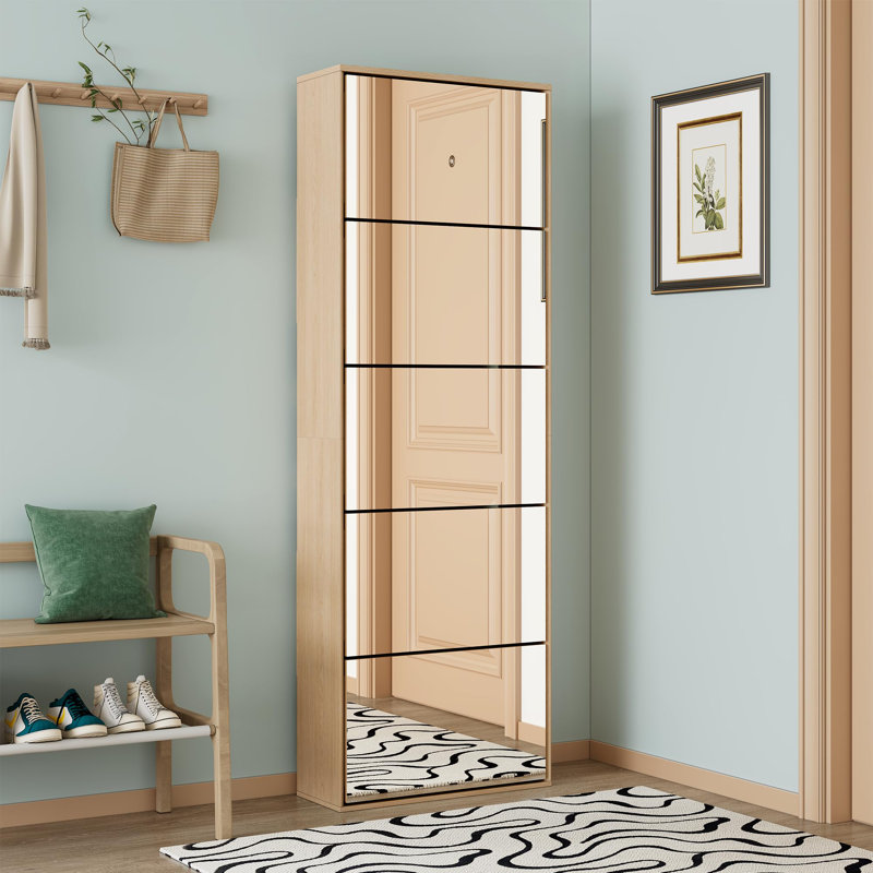 Modern Minimalist 5-shelf Mirrored Shoe Cabinet