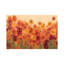 Summer Poppies II by Silvia Vassileva - Wrapped Canvas Painting-577033897-659143662