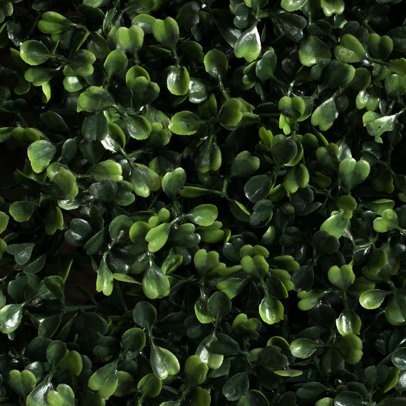 Boxwood Wall Panel Arrangement, 72" H x 48" W x 16" D