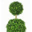 120cm Boxwood Topiary in Pot