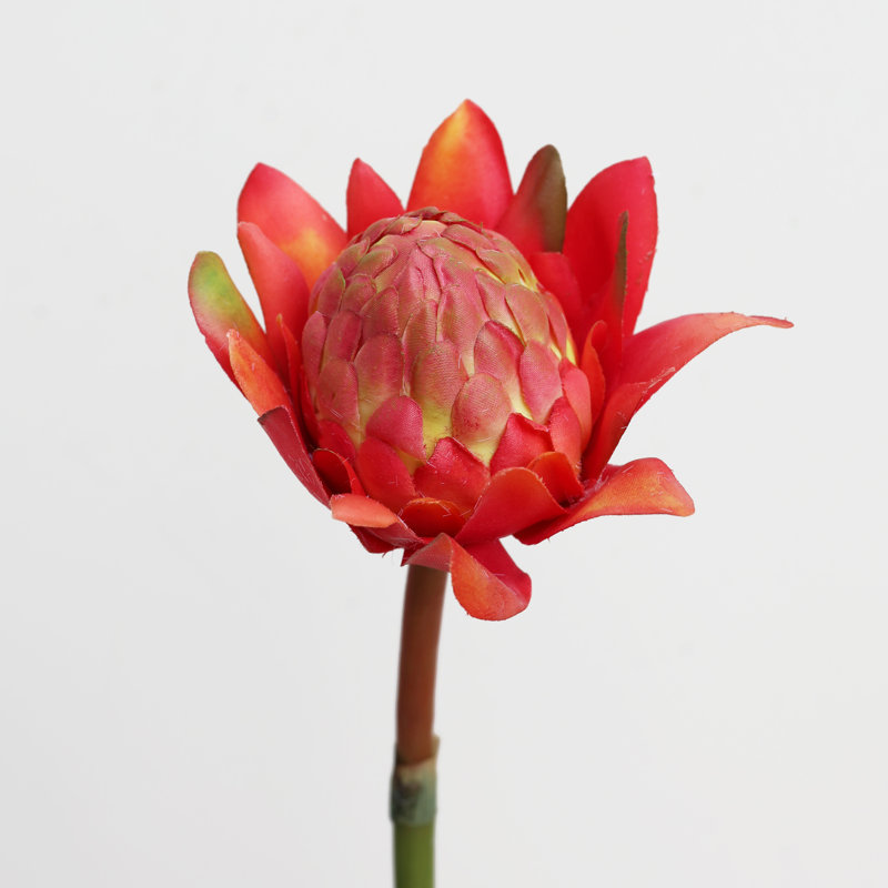 Waratah Protea Faux Floral, Red Orange, 16.5" H x 5" W