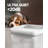Pet Fountain
