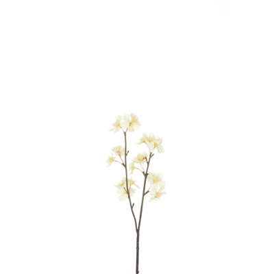 Cherry Blossom Arrangement
