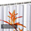 Branche aquarelle, strelitzia, oiseau, paradis, fleur, botanique, 12 crochets-1705347795