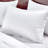 Casual Channel Comforter-2115978677