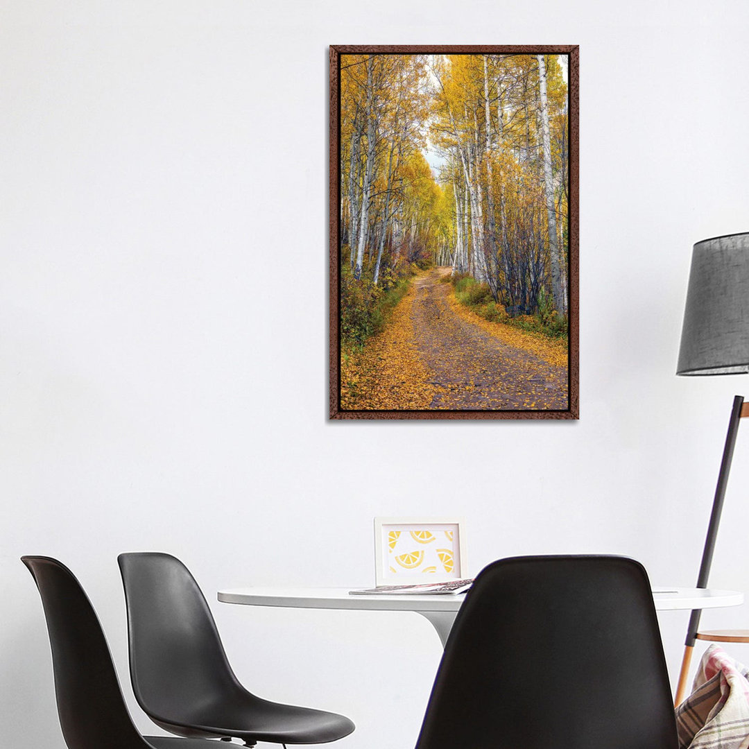 Herbst in Aspen Colorado von Susanne Kremer - Galerie-verpackte Leinwand Giclée auf Leinwand