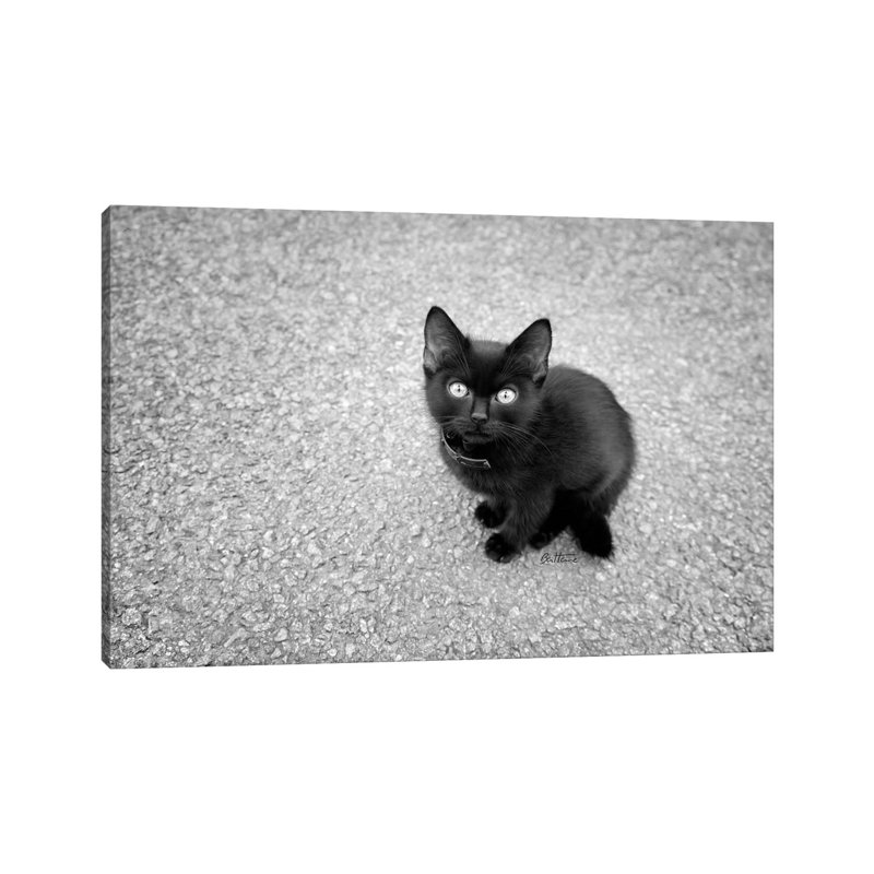 Just A Baby by Ben Heine - Print on Canvas, Wrapped Canvas, 20.32 cm H x 30.48 cm W