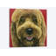 « nikki the goldendoodle », reproduction d’impression sur toile-32500612-72130771