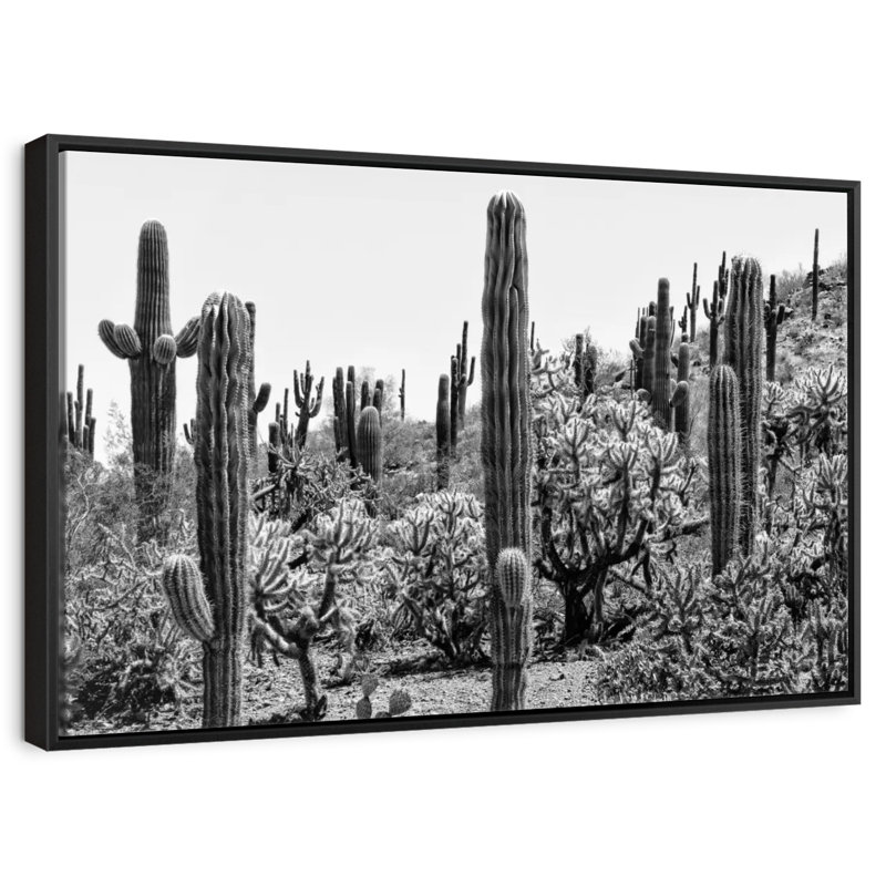 Arizona noir - Cactus étonnant I, 19 po x 13 po, Cadre flottant noir