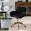 Chaise de bureau Angelyssa-2058928942