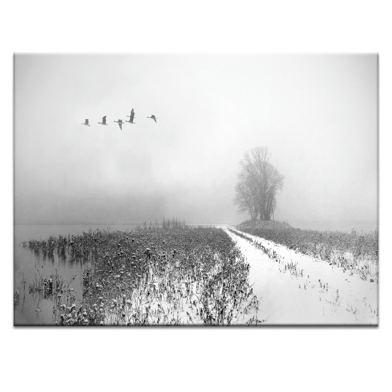 Print on Canvas, Wrapped Canvas, 41cm H x 51cm W