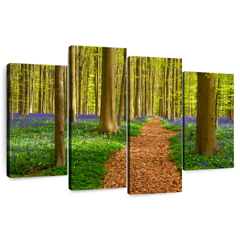 Alvord Hallerbos Beech Path, 32" H x 52" W