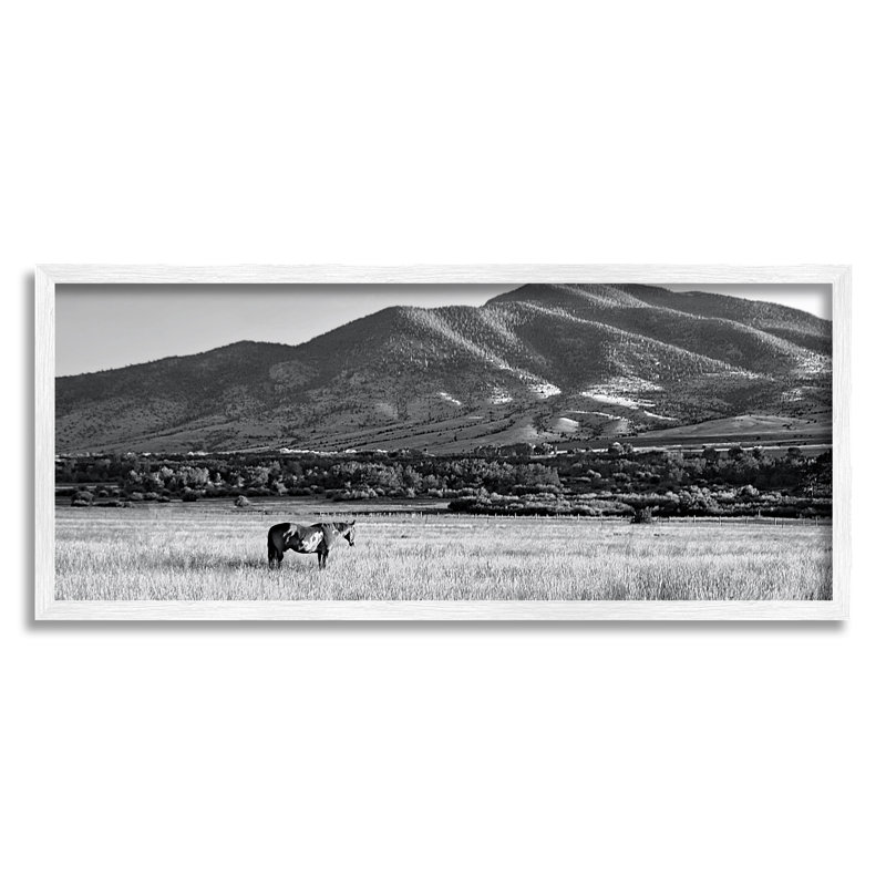 «Horse In Mountains» encadré sur bois par Steve Toole, H 13 po x l 30 po x P 1,5 po