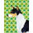 Basenji (blanc et noir)
