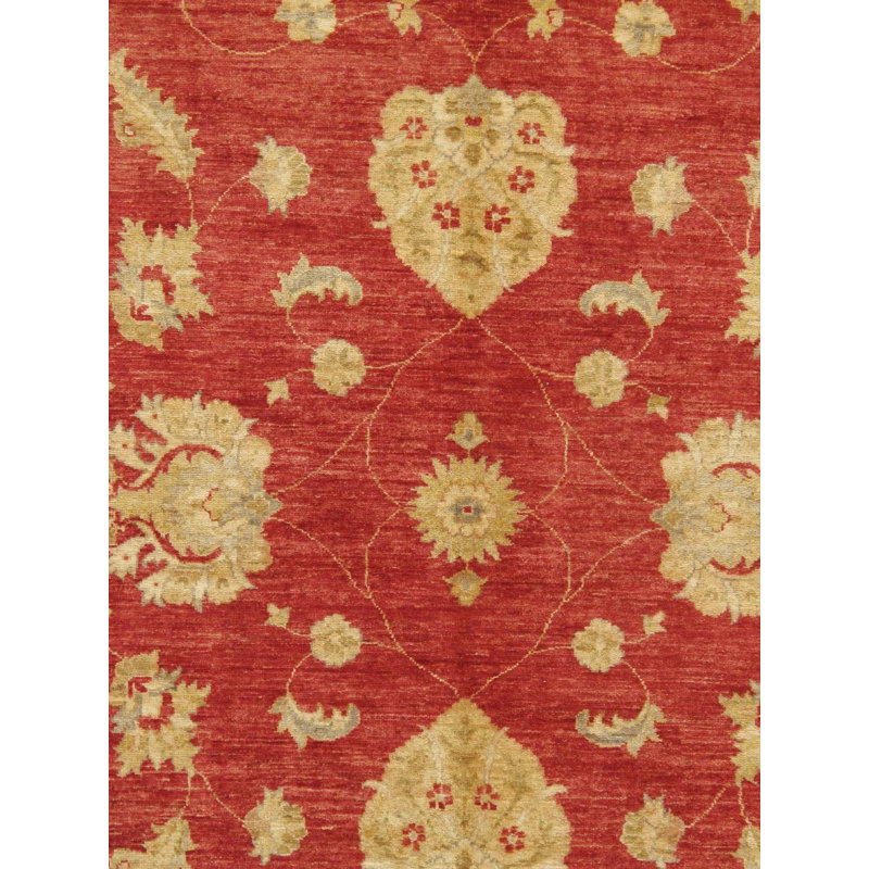 Xahlia Oriental Area Rug