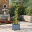 Jardinière en métal gris doux pour patio et balcon avec treillis vertical, système d'arrosage automatique et roues verrouillables de 15,7 x H 71,7