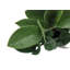 20 po de hauteur plante artificielle Zz en pot de ciment gris, plante décorative d'intérieur avec effet de verdure