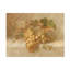 Art sur toile raisins, bolognaise, bolologien-105717781