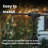 Outdoor Patio 24-Bulb LED String Lights - 48ft