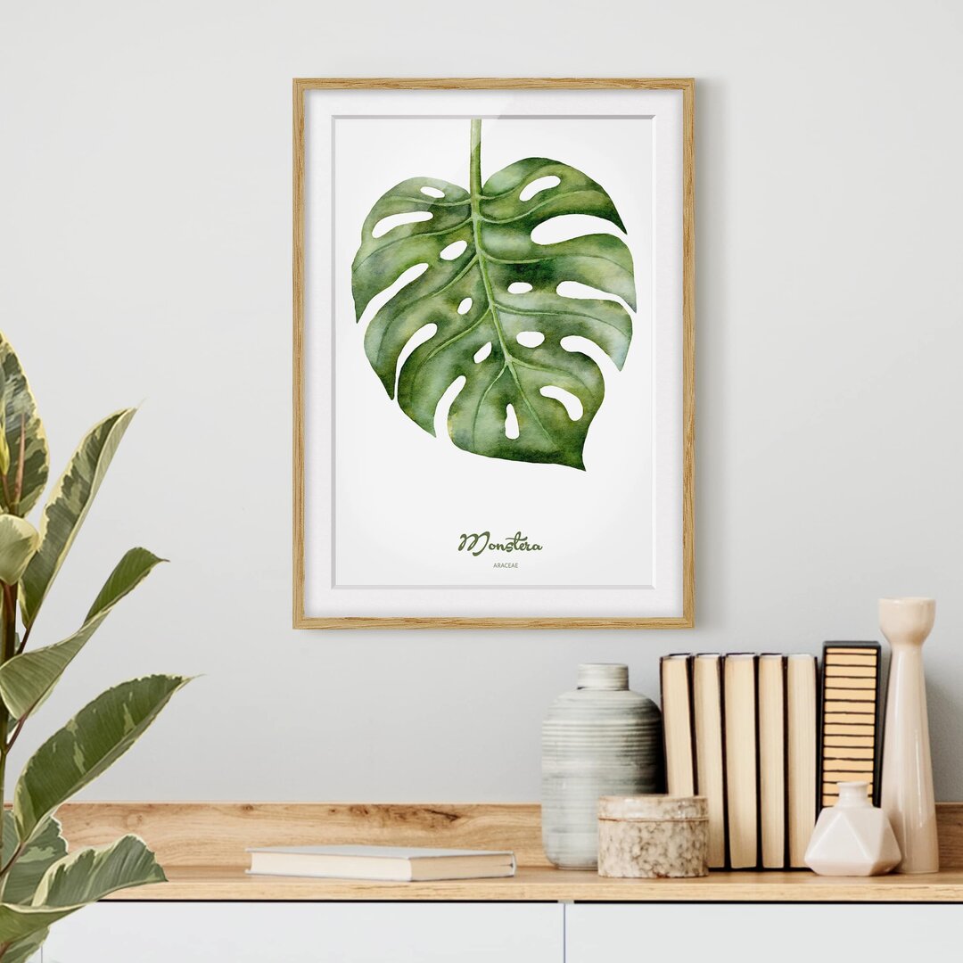 Gerahmtes Papierbild Aquarell Botanik Monstera