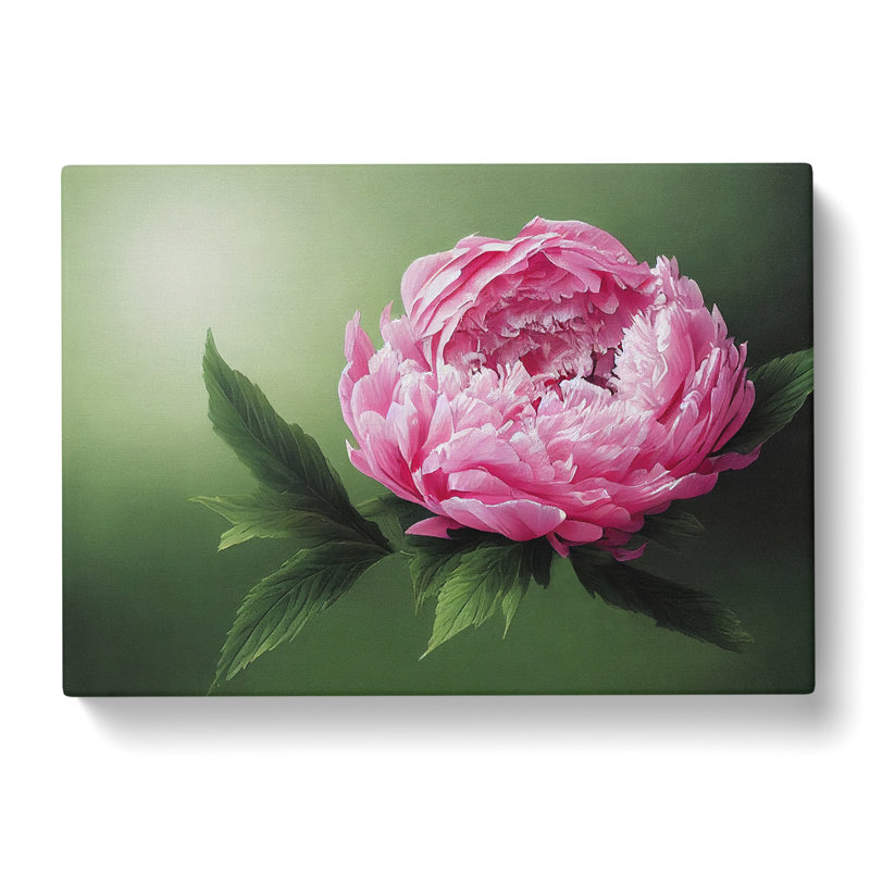 Masterful Peony Flower - Wrapped Canvas, 40cm H x 60cm W x 3cm D