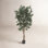 Faux Olive Tree Tree in Pot