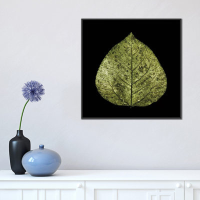 «Green Leaf» par PhotoINC Studio - estampe numérique sur toile tendue avec châssis