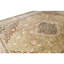 Oriental Area Rug in Gold